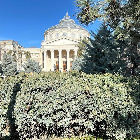 2Rooms Apartment Calea Victoriei - Atheneum Бухарест Экстерьер фото